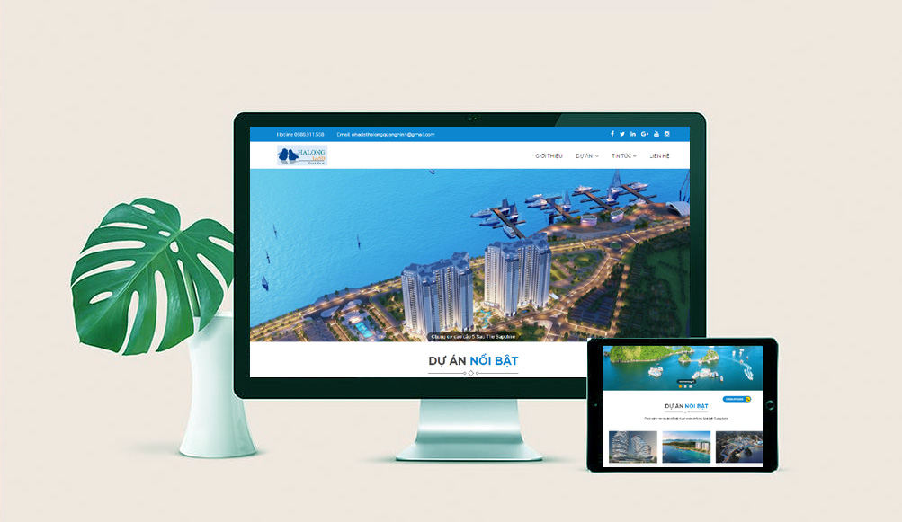 Thiết kế web đăng tin mua bán nhà đất hiệu quả số 1 Việt Nam